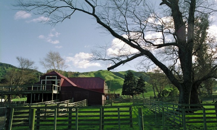Farm near Porirua, Wellington, North Island