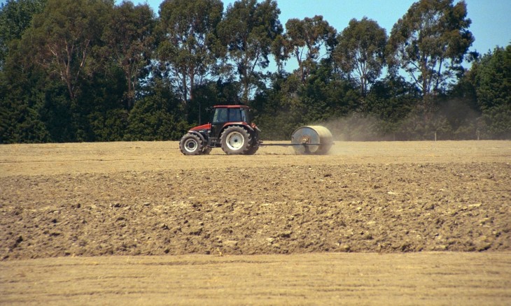 Farm near Oamaru, Otago, South Island