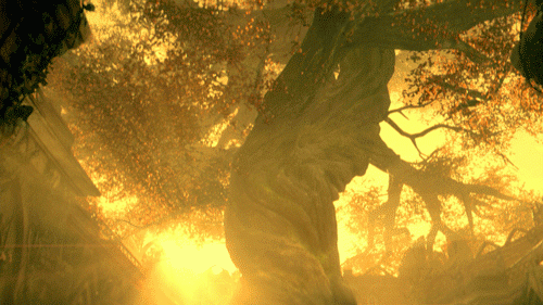 The gnarled trunk of the Ellcrys Tree - with people for scale!© MTV 2015